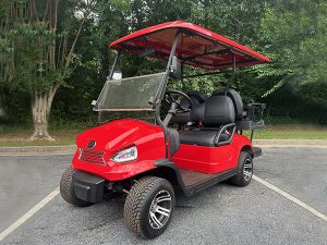 lithium battery services, golf cart lithium battery, battery upgrade